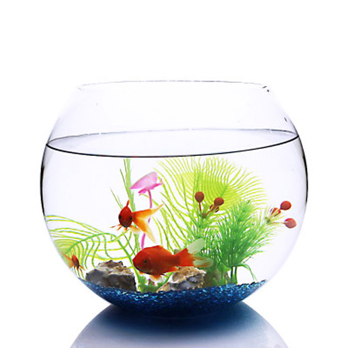數量顏色有講究辦公室養魚風水知識